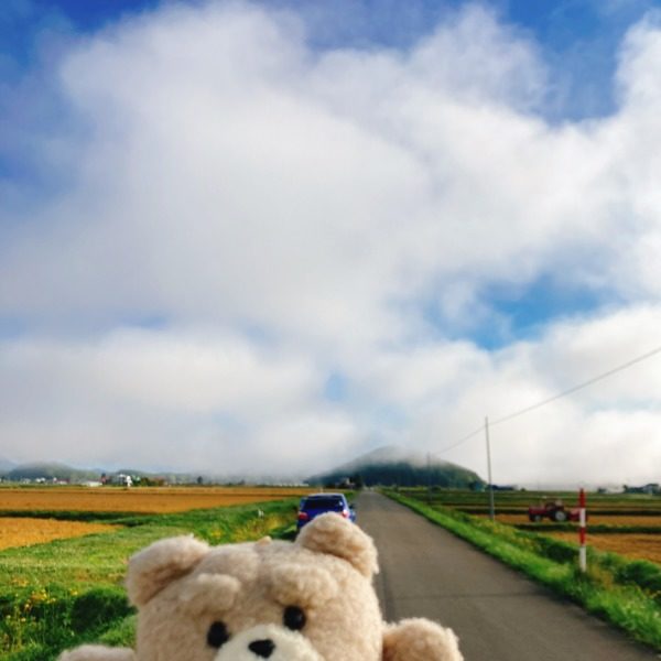 北海道の田園風景