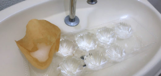 卵パックとクエン酸でトイレの消臭剤を作る
