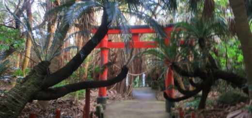 こういうディープな神社が好き　御崎神社　 本土最南端 佐多岬　鹿児島県