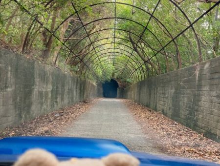 開聞岳の迷宮トンネル【開聞トンネル】(秘境) 鹿児島県