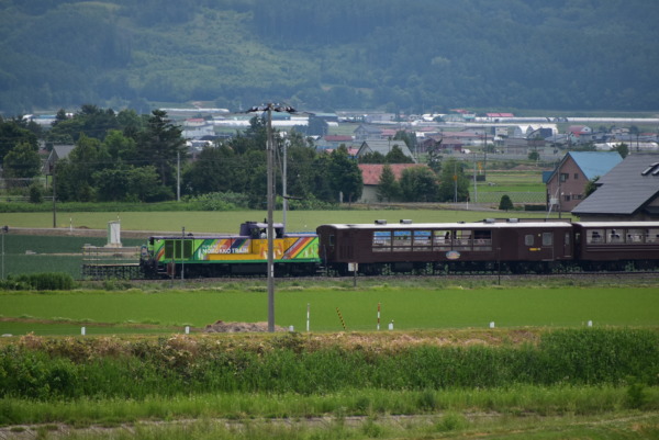 富良野・美瑛ノロッコ号とは北海道旅客鉄道が富良野線旭川駅・美瑛駅 - 富良野駅間にて1997年6月から運行しているトロッコ列車ノロッコ号の内の一つ