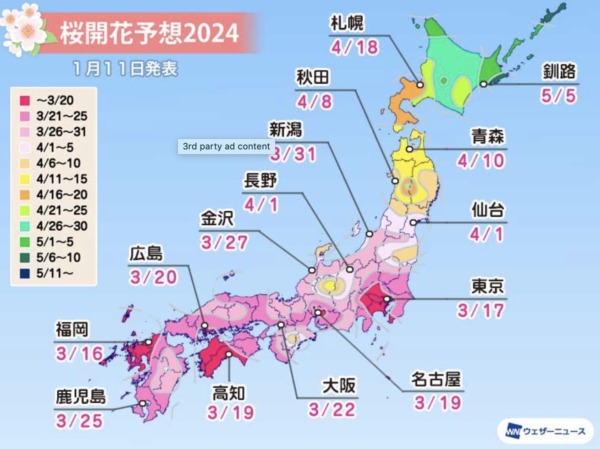 桜　開花　予想　2024