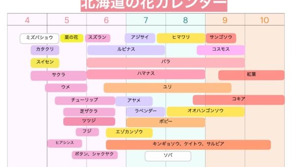 北海道の花・カレンダー 　開花時期